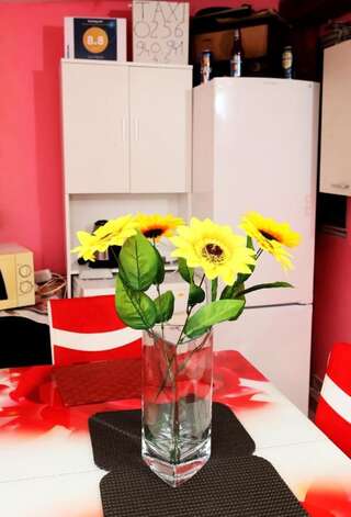 Гостевой дом Casa Agnes Тимишоара-7